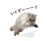 847429707