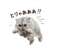 847429714
