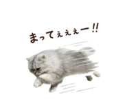 847429717