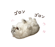847429718