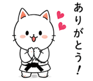 847429858
