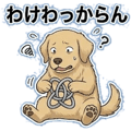 847430301