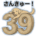 847430306