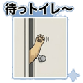 847430307