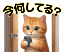 847430521