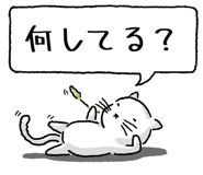 847430668