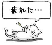847430675