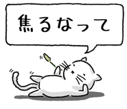 847430686