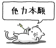847430694
