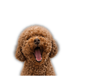 847434849