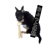 847439785