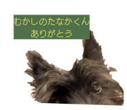 847440557