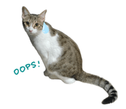 847441578