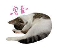 847441580