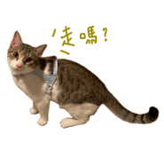 847441585