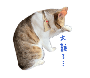 847441587