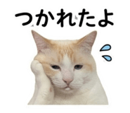 847443514