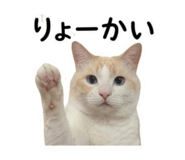 847443517