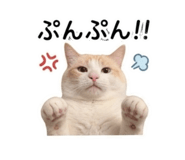 847444618