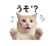 847444621