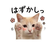 847444626