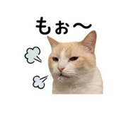 847444630