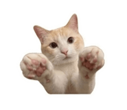 847444633