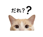 847444634