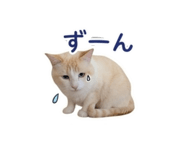847444635
