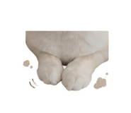 847444636
