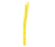 847444842