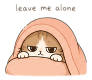 847447357