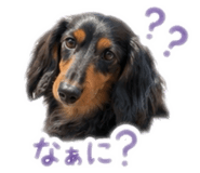 847447651