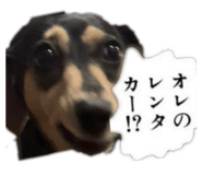 847448010