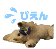 847448103