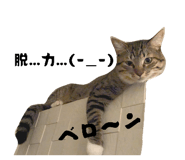 847448229