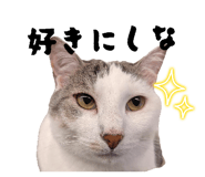 847448250