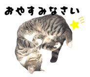 847448256