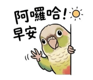 847449018