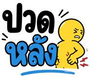 847449919