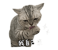 847450418