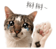 847450645