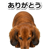 847451491
