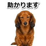 847451506