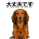 847451509