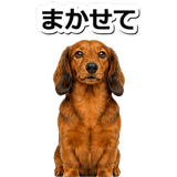 847451527