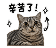 847453699