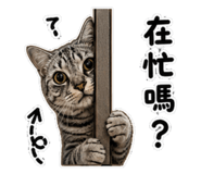 847453704