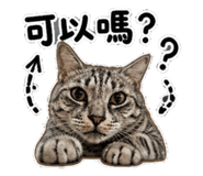 847453705