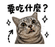 847453707